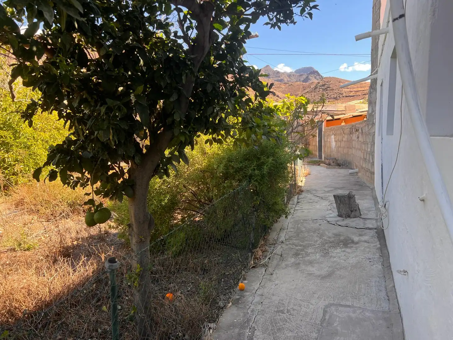 Casa rústica con jardín en venta en La Aldea de San Nicolás, imagen 40