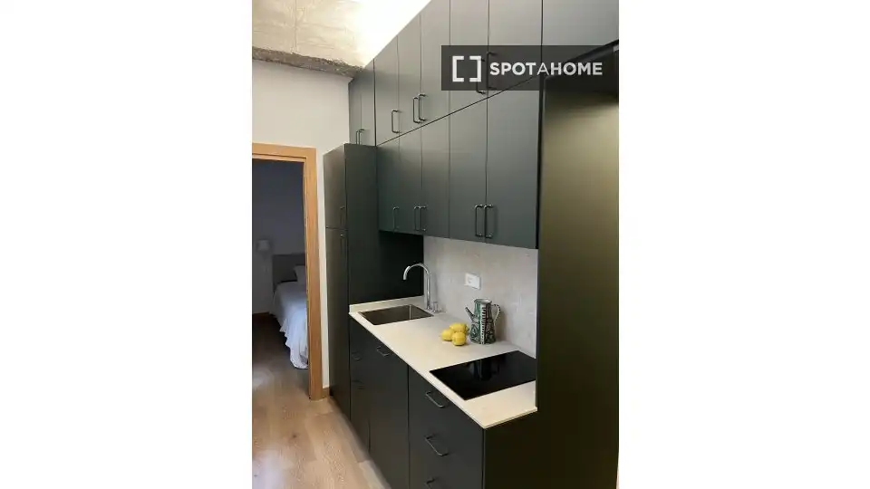 Kitchen of Study for share in Bilbao   with Air Conditioner, Terrace and Furnished