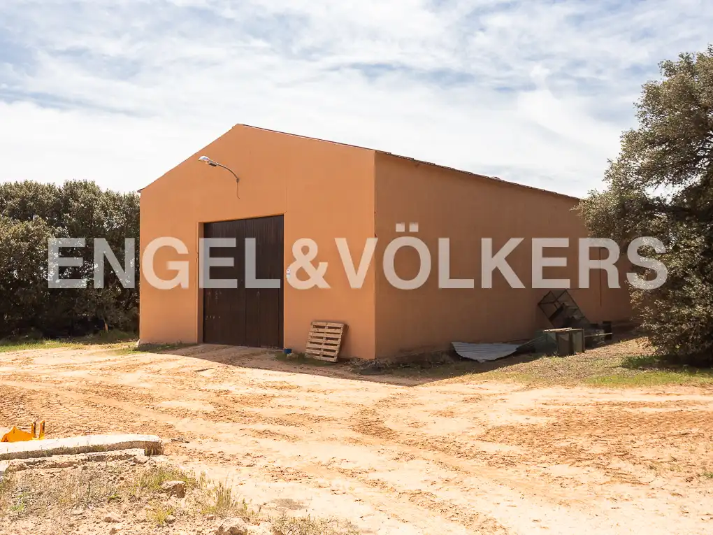 Vista exterior de Casa o chalet en venta en Chinchilla de Monte-Aragón con Calefacción, Jardín privado y Terraza