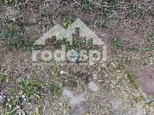 Terreny rústic en venda a A Cañiza, imagen 12