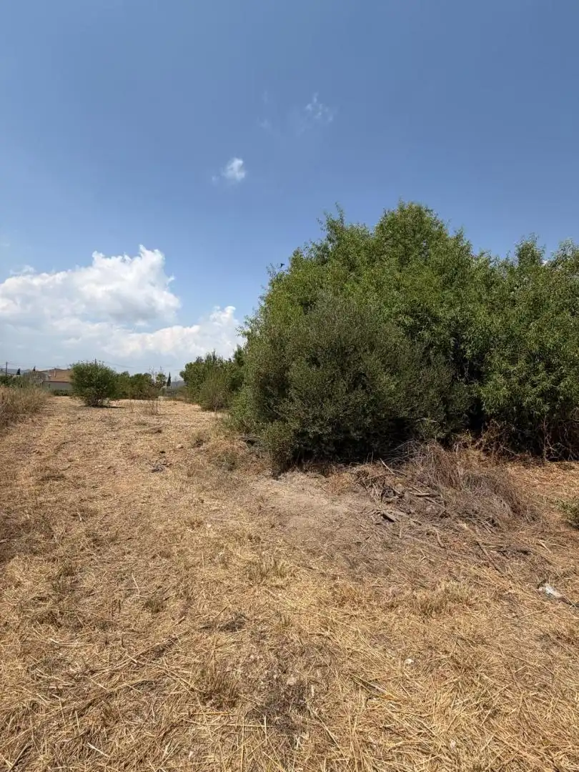 Terreny residencial en venda a Castellví de la Marca, imagen 16