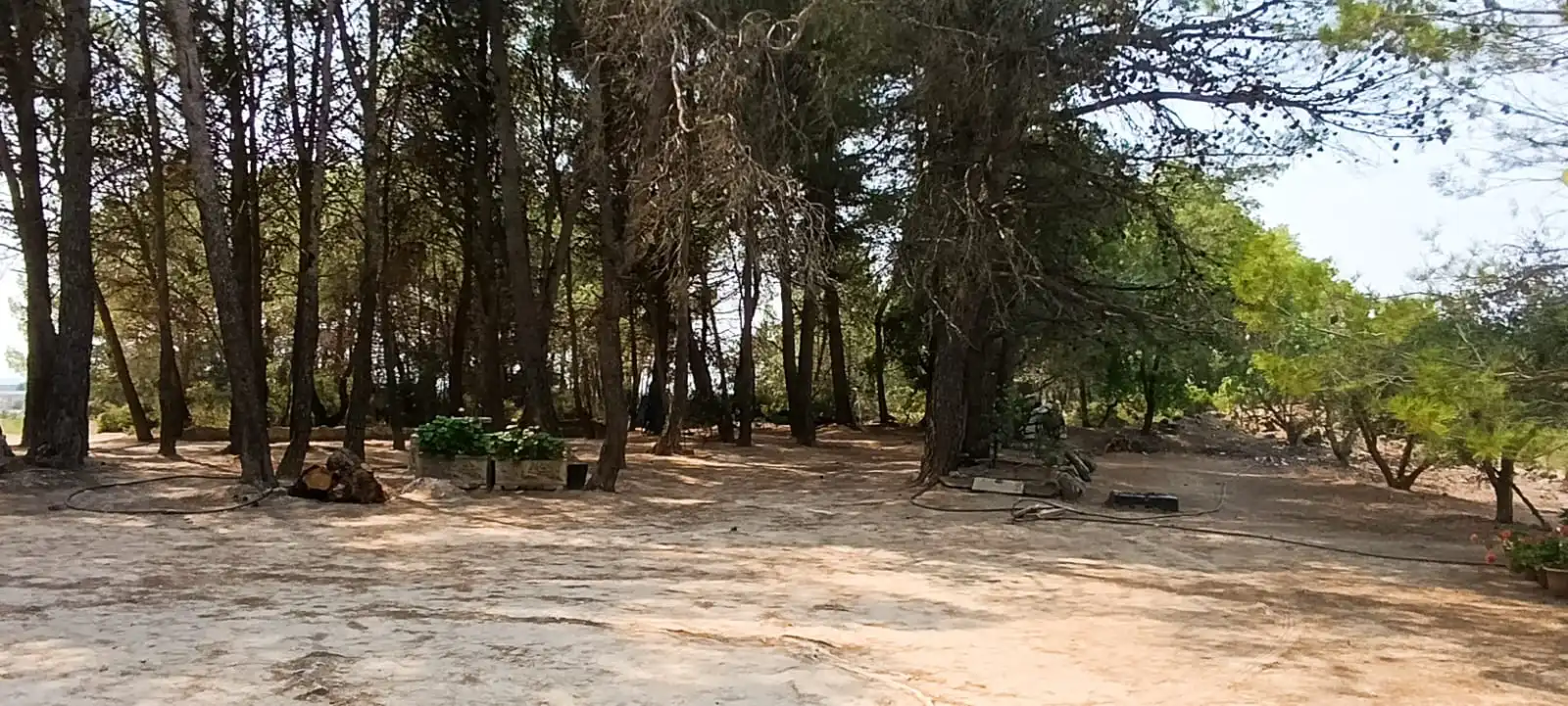 Residencial en venda en Vilalba dels Arcs