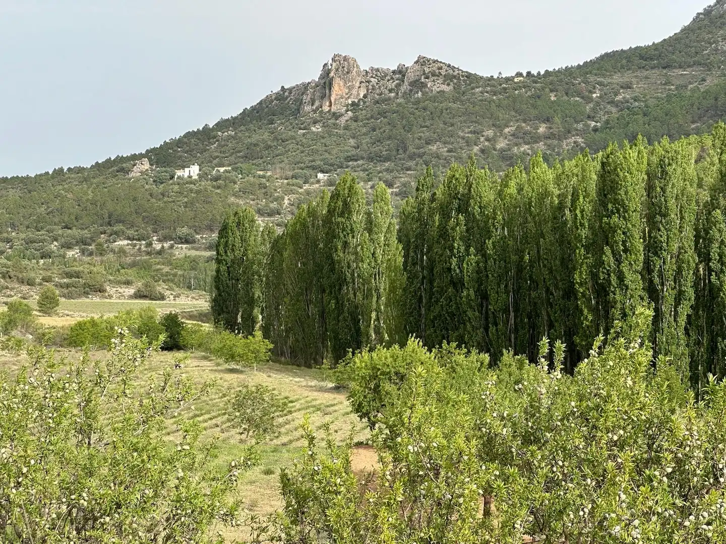 Houses for rent in Caserio la Risca, 13, Moratalla