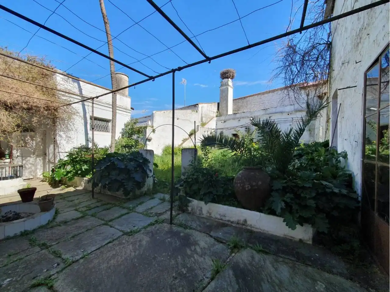 Jardín de Casa o chalet en venta en Higuera de Vargas