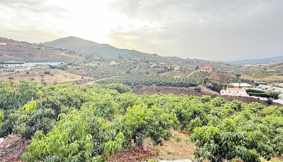 Photo 1 of House or chalet for sale in Viñuela, Málaga