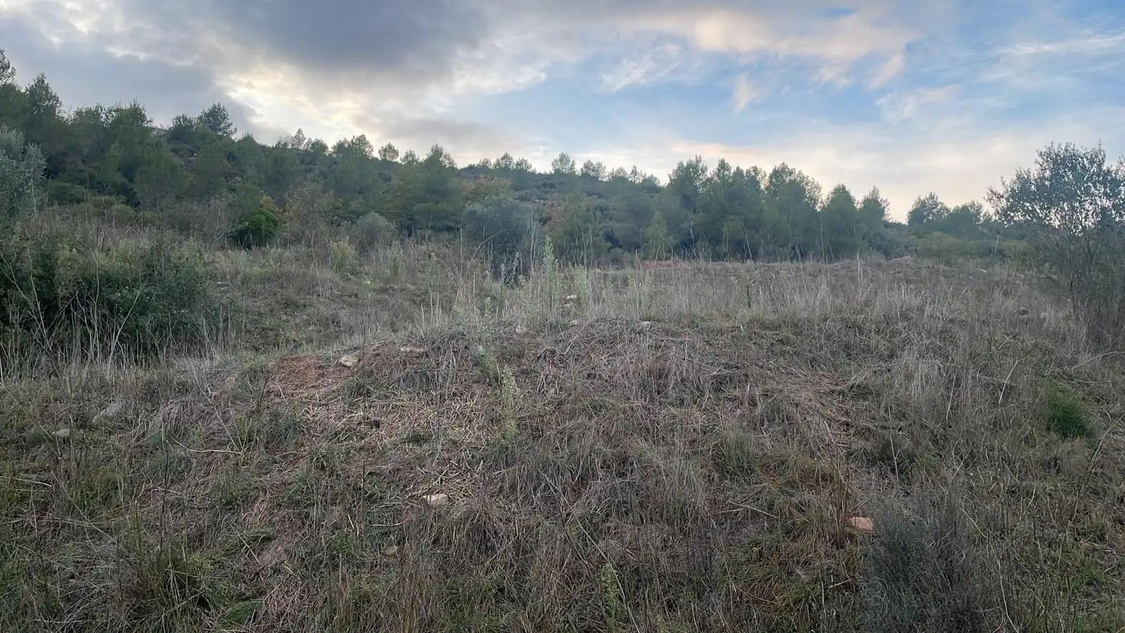 Grundstücke und Bauplätze zum Verkauf in SERRA DE CAN QUETA, imagen 4