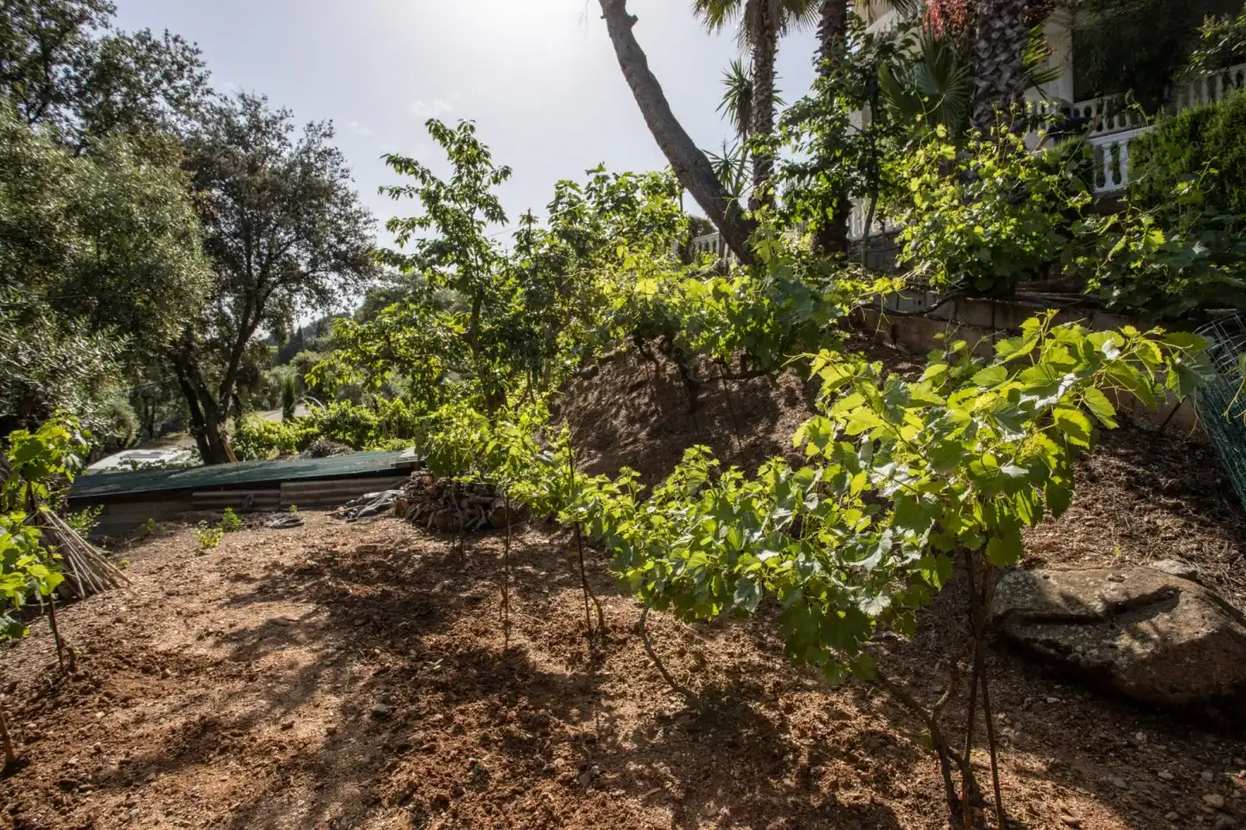 Casa o chalet en venta en Dúdar con Aire acondicionado, Calefacción y Jardín privado