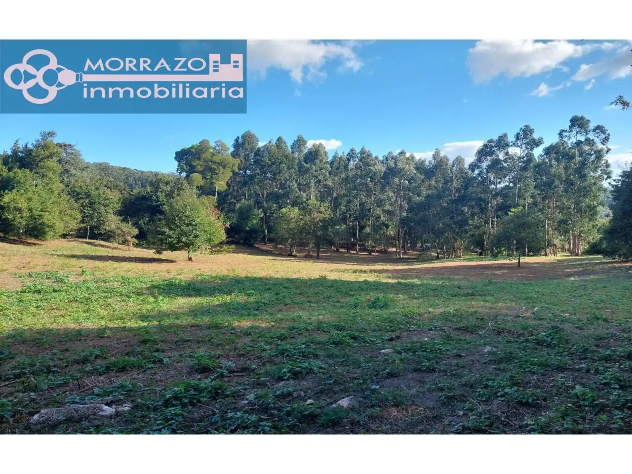 Terreno rustico in vendita a Bueu, imagen 50