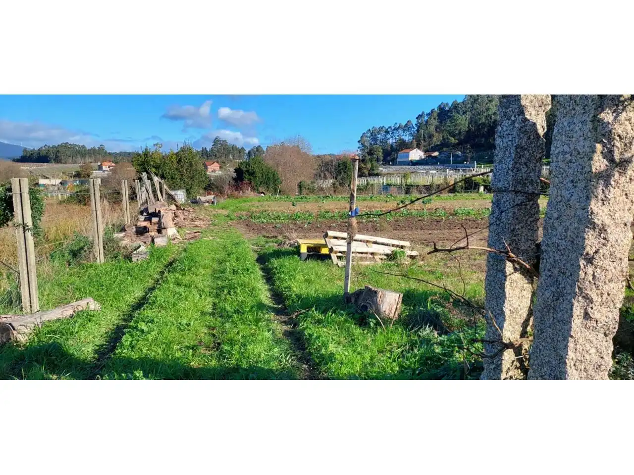 Terreno rustico in vendita a Ribadumia, imagen 4