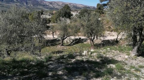Foto 5 von Grundstücke zum Verkauf in Partida Foeta de Carrascal, Quatretondeta, Alicante