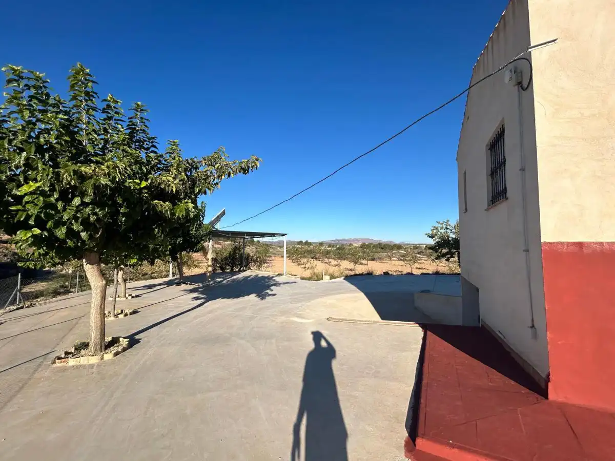 Vista exterior de Finca rústica en venda en Jumilla