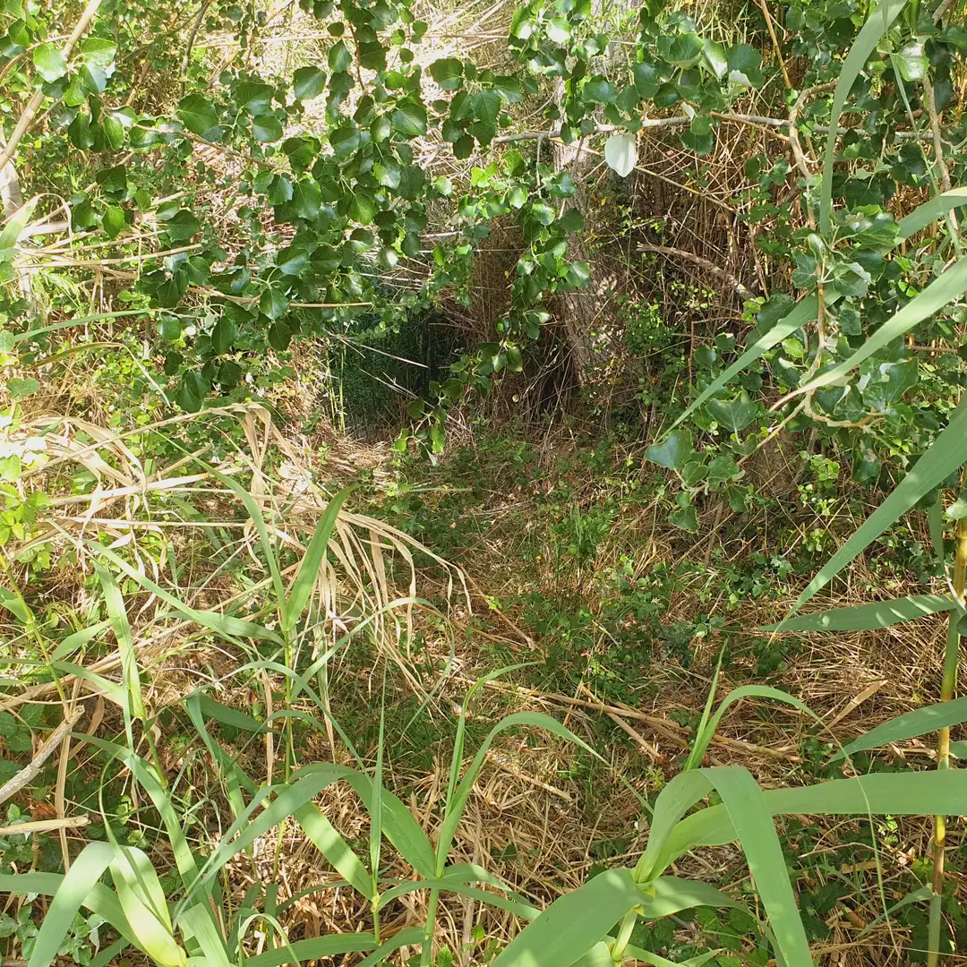 Terrain rustique à vendre à Rasquera, imagen 12