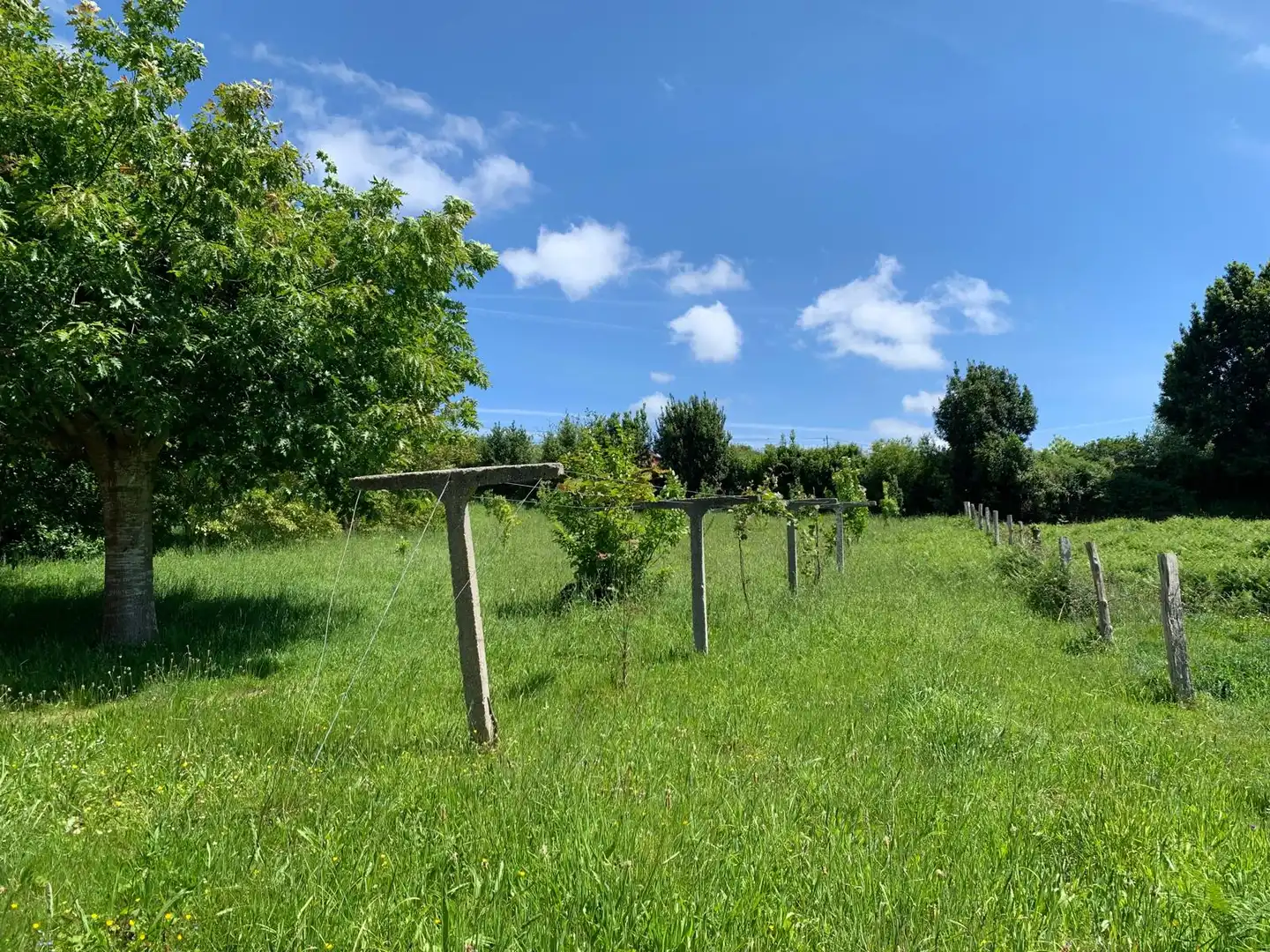 Casa o chalet en venta en Neda con Calefacción y Amueblado
