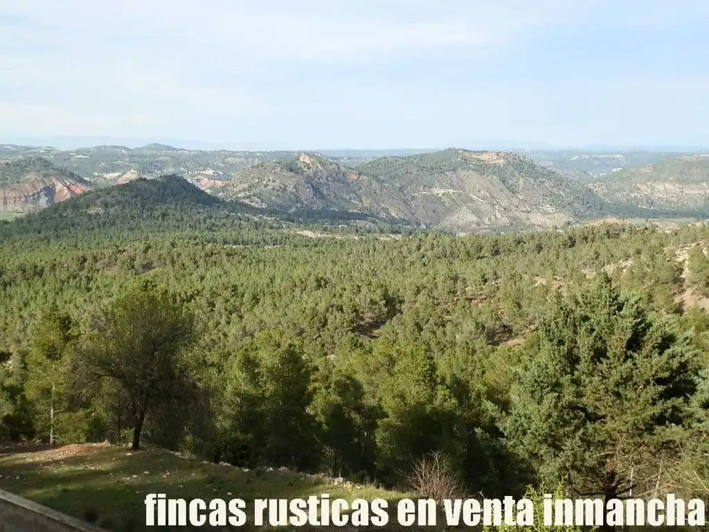 Rural land for sale in Requena, imagen 6