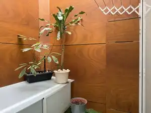 Piso en venta en Las Palmas de Gran Canaria con Amueblado
