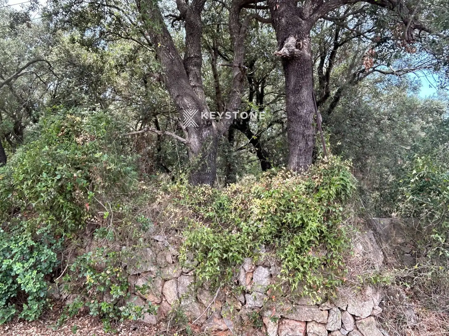 Residencial en venta en Búger