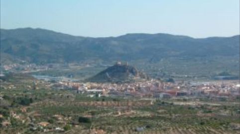 Alicante. A 35 Km de la ciudad. Finca rustica  en monte con coto de Caza, con casa solariega., immagine 4