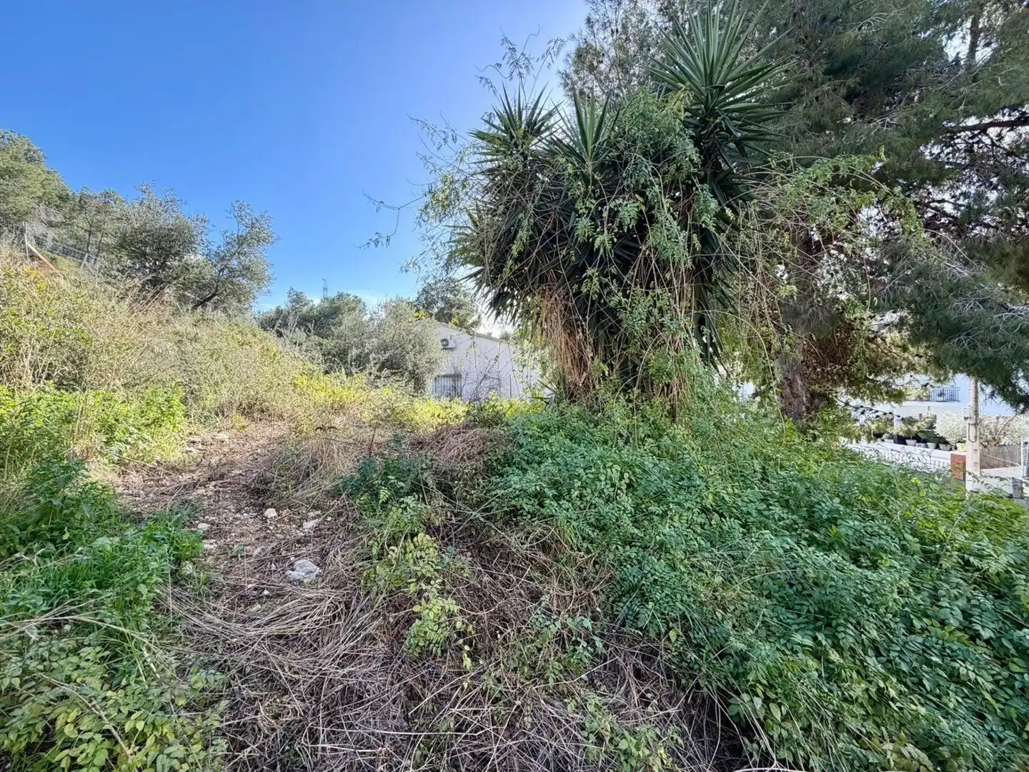 Terreno rustico in vendita a Torre Dels Escipions, imagen 3