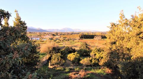 Foto 4 de Finca rústica en venda a Llubí, Illes Balears