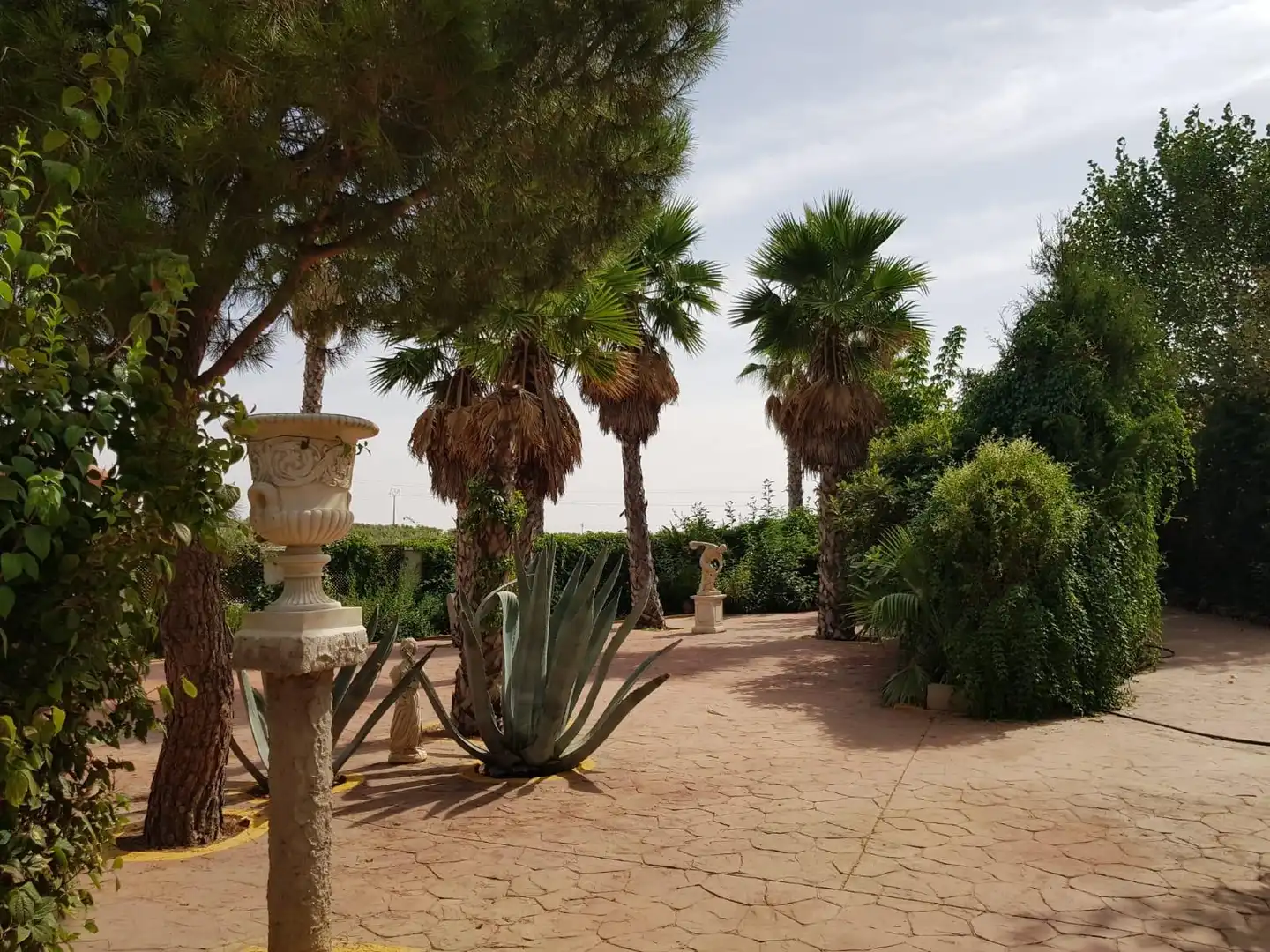 Jardín de Finca rústica en venta en Santa Cruz de Mudela