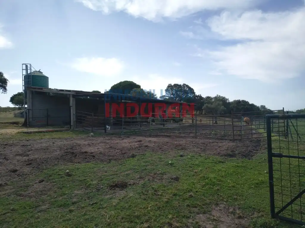 Finca rústica en venda en Talaván