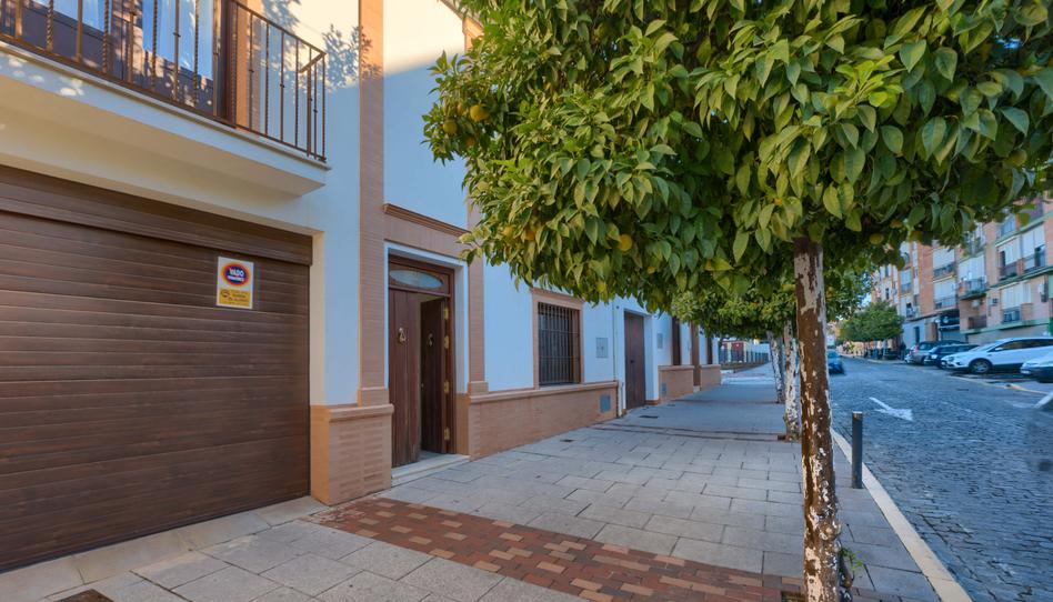 Foto 1 de Casa o xalet en venda a  Calle Nueva, Casco Antiguo, Sevilla