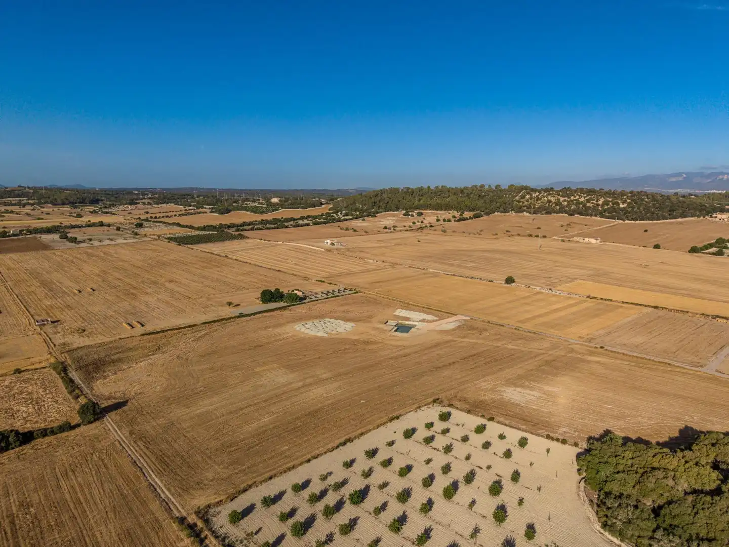 Terreny rústic en venda a Polígono parcela 207 2, imagen 13