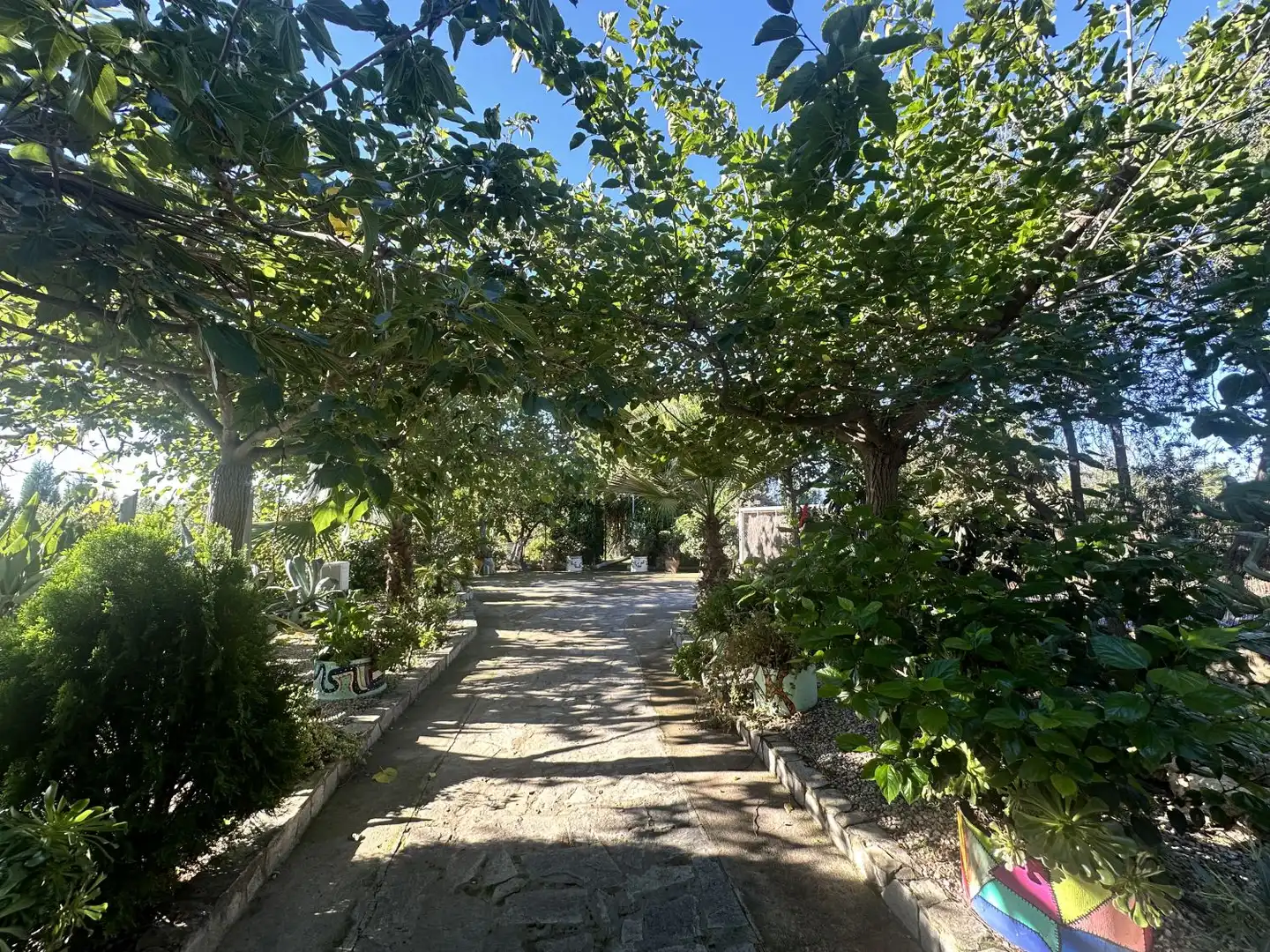 Villa in vendita a Alfara de la Baronia, imagen 25