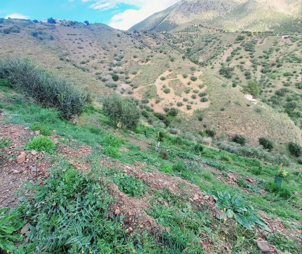 Terrenys i solars en venda a Canillas de Aceituno, imagen 16