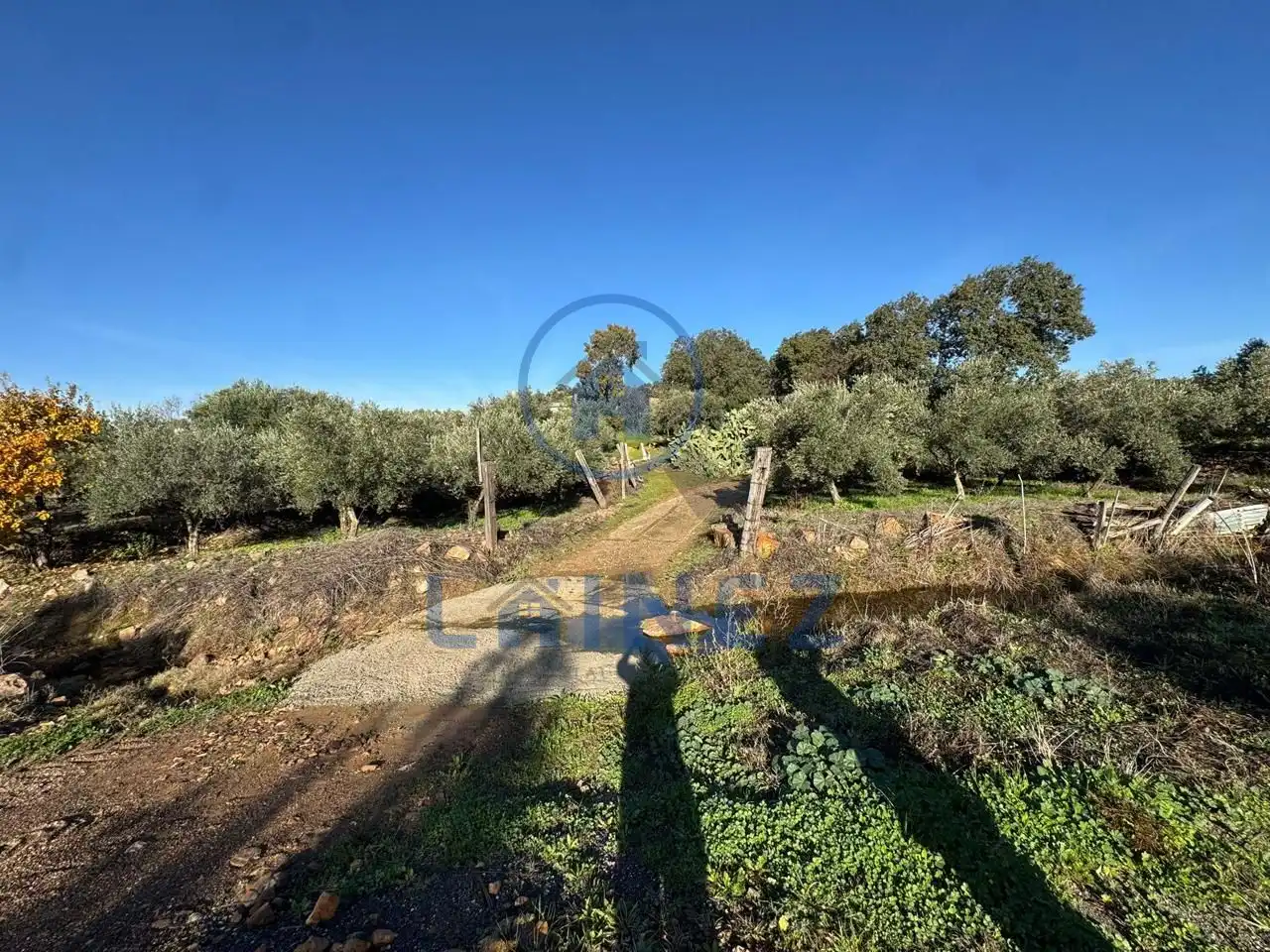 Terreno en venta en La Granjuela