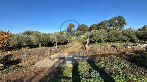 Foto 2 de Terreno en venta en Gran Capitan, La Granjuela, Córdoba