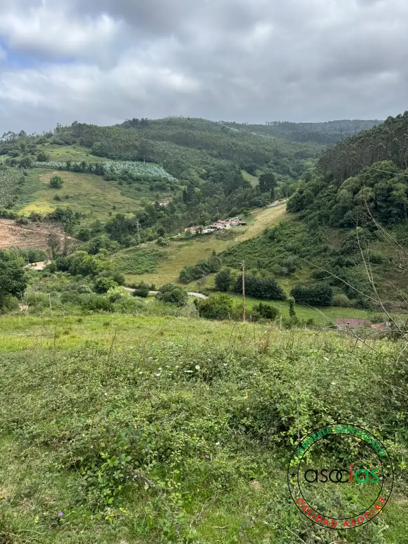 Terreny en venda en Villaviciosa