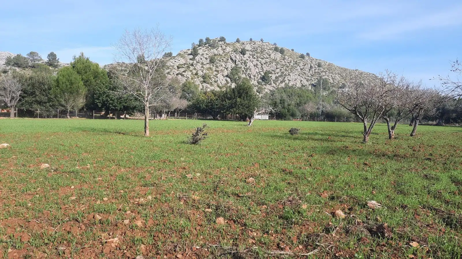 Landhaus zum Verkauf in Pollença Poble, imagen 36