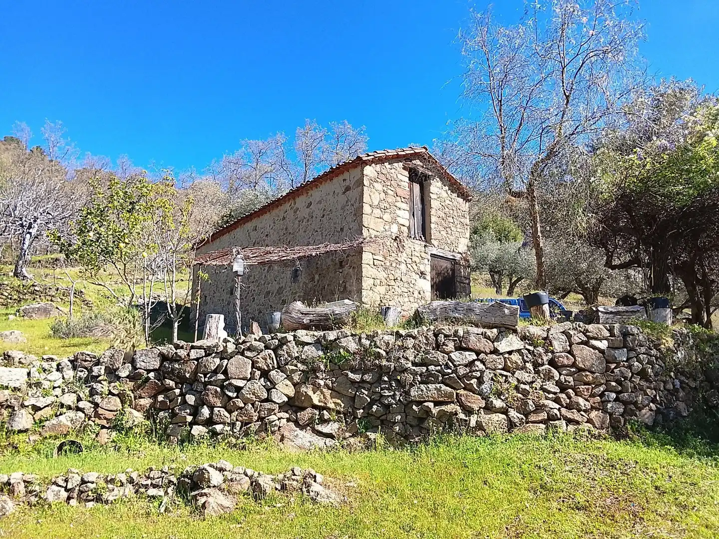 Terreni e lotti in vendita a Candeleda