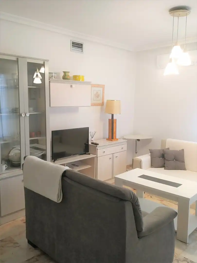 Sala d'estar de Apartament de lloguer en Casco Antiguo