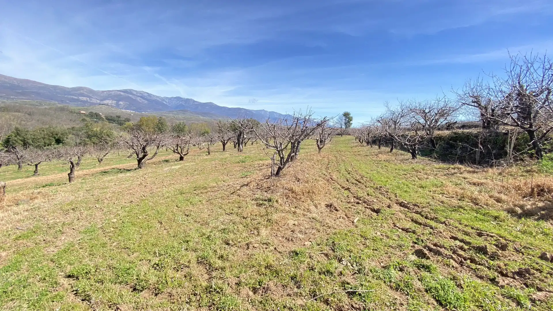 Terreni e lotti in vendita a Jaraíz de la Vera, imagen 8