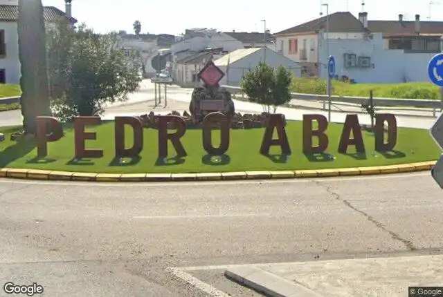 Villa à vendre à CL ALBAYARA, imagen 6