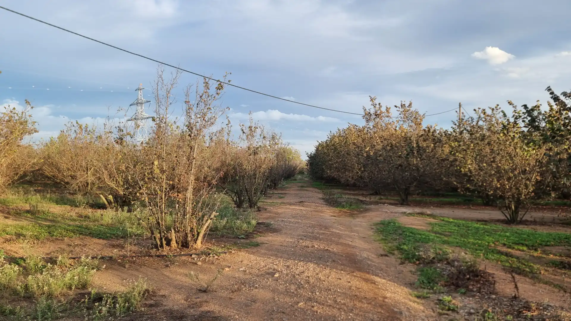 Terreno en venta en Vilallonga del Camp