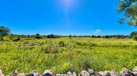 Photo 3 of Residential for sale in Es Llombards, Santanyí
