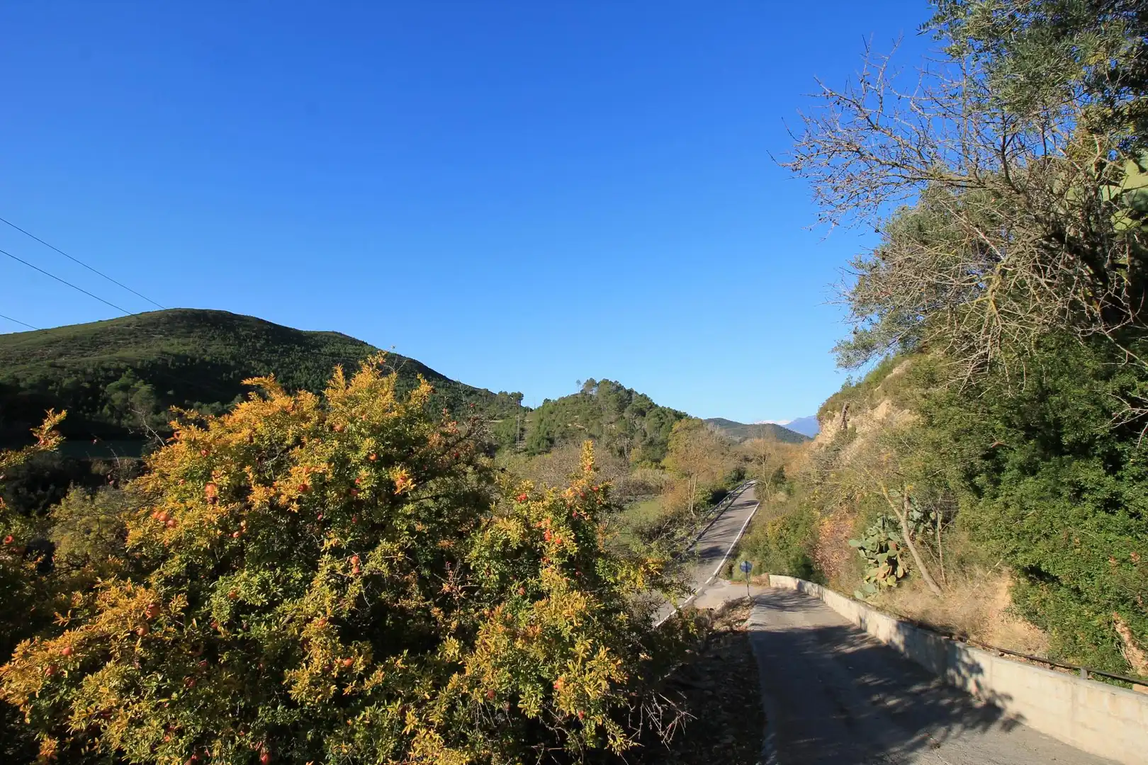 Wohnbaugrundstück zum Verkauf in de la Font, imagen 17