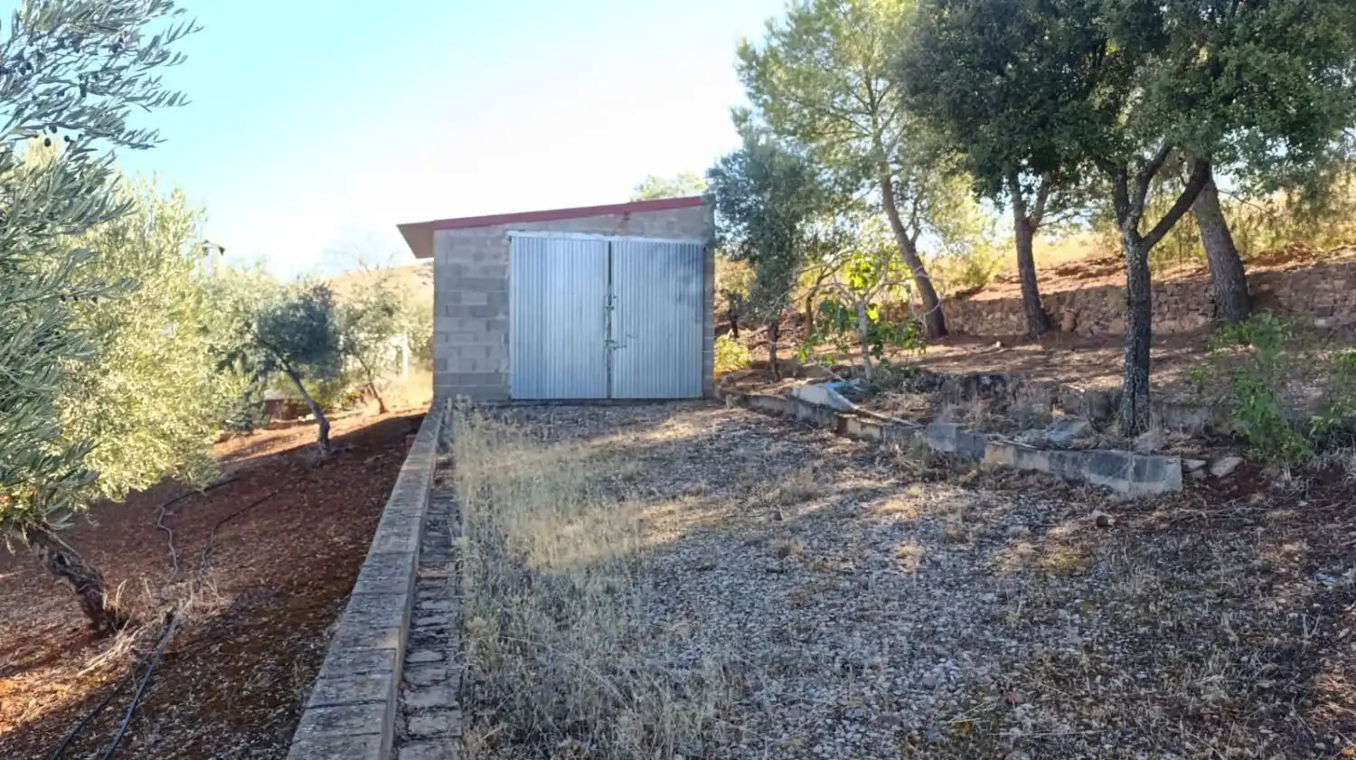 Casa rústica en venda a Valdepeñas, imagen 47