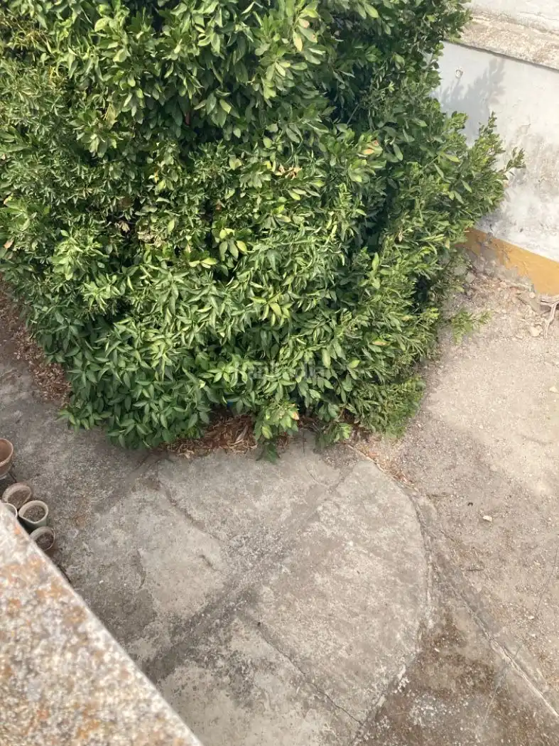 Maison avec jardin à vendre à Calle San Miguel 30, imagen 35