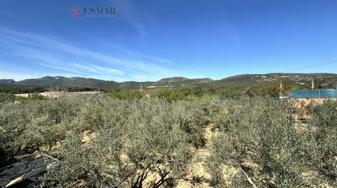 Photo 4 of House or chalet for sale in Algímia de Alfara, Valencia