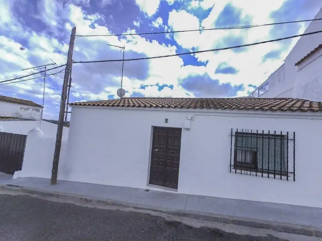 Exterior view of Houses for sale in Olivenza  with Private garden