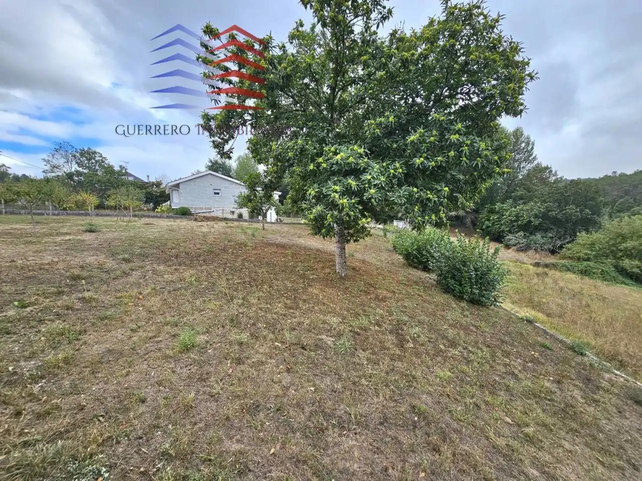 Casa o xalet en venda en Celanova amb Jardí privat i Terrassa