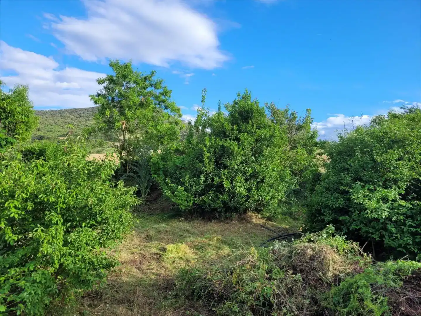 Finca rústica en venda en Allín / Allin