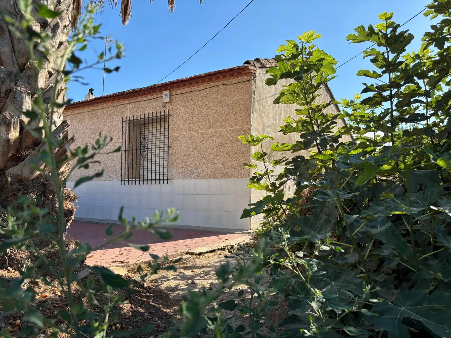 Exterior view of Houses for sale in Murcia