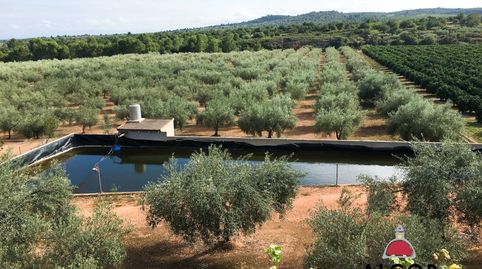 Finca Rúst. en venta en Sant Jordi.