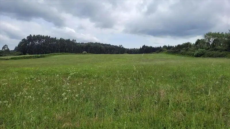 Industrial land for sale in Corvera de Asturias