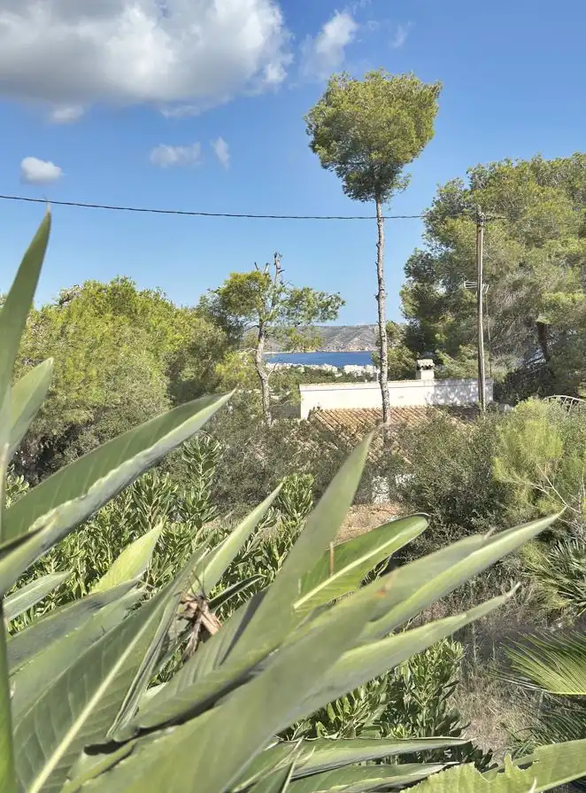 Garden of Houses for sale in Jávea / Xàbia  with Heating, Private garden and Terrace